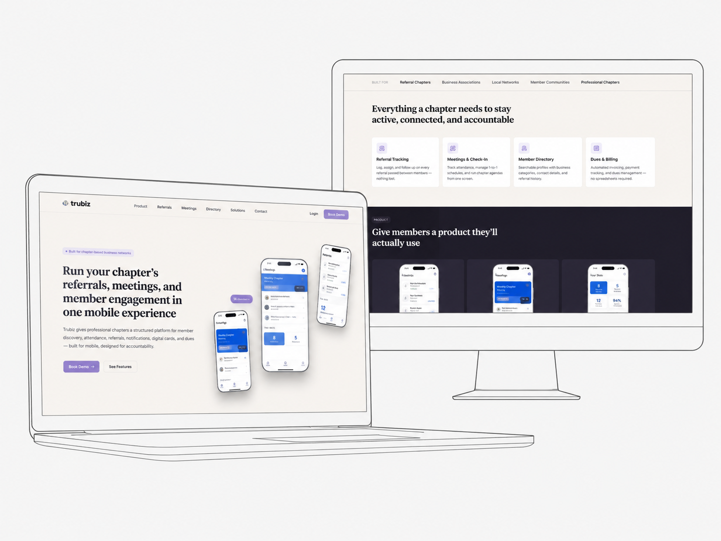 Trubiz project visual